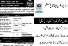 Laboratory School and College System Jobs 2024