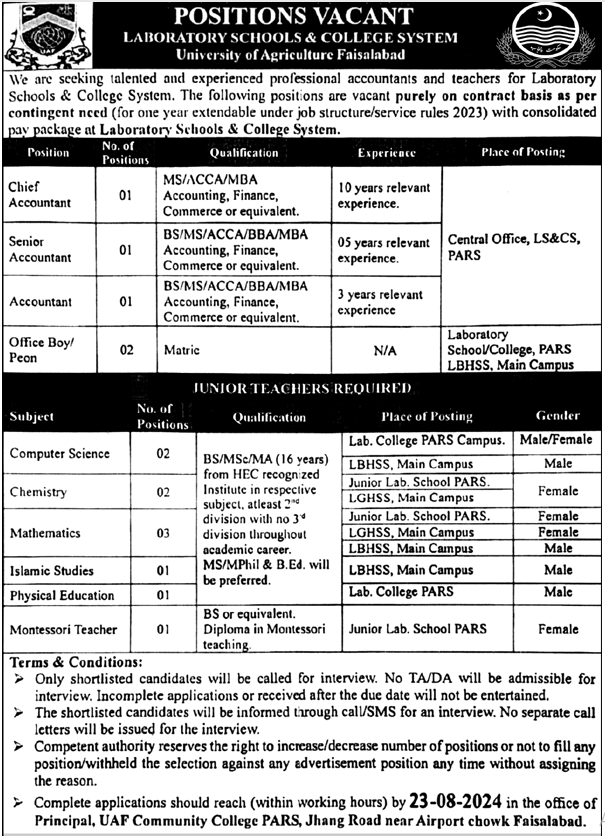 Laboratory School and College System Jobs 2024 for Junior Teachers