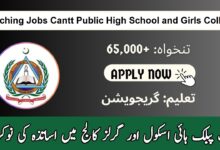 Latest Cantt Public High and Girls College Jobs 2024