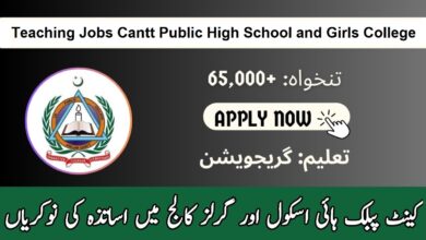 Latest Cantt Public High and Girls College Jobs 2024