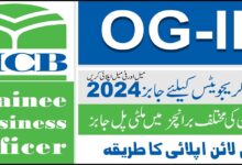 MCB Jobs 2024 for Fresh Graduation Passed Students All over Pakistan (OG-III)