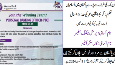 Meezan Bank Latest Jobs for Males and Females 2024