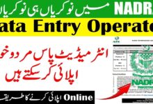 NADRA Data Entry Operators Jobs 2024