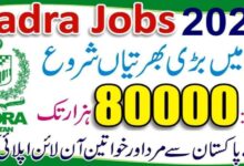 NADRA Technologies Limited NTL Latest Jobs 2024