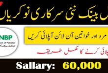 National Bank of Pakistan Latest Jobs August 2024 Online Apply