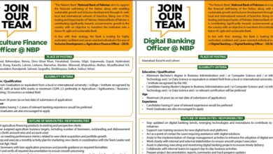 New NBP Jobs 2025 OG-III Latest Advertisement