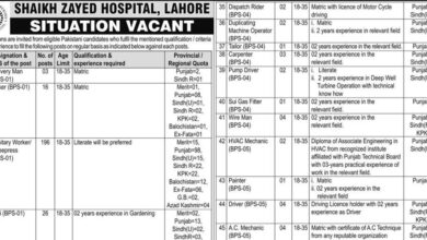 Sheikh Zayd Hospital Latest Jobs August 2024