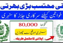 Wafaqi Mohtasib Latest Jobs 2024