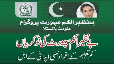 BISP Latest Jobs September 2024