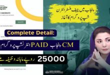 CM Punjab Paid Internship Program 2024