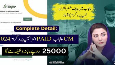 CM Punjab Paid Internship Program 2024