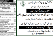 Intellectual Property Organization Pakistan Latest Jobs September 2024