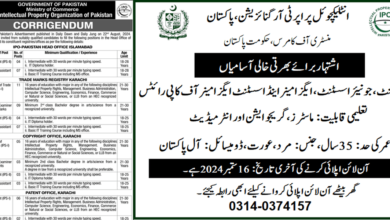 Intellectual Property Organization Pakistan Latest Jobs September 2024