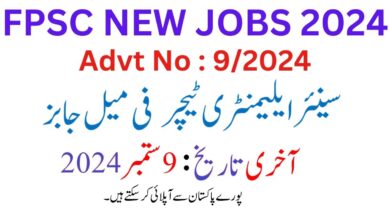 Senior Elementary School Teachers Jobs 2024 Latest Advertisement