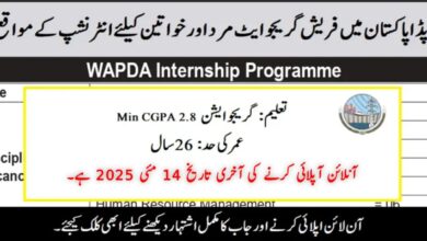 WAPDA Internship Program 2025