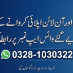 Contact Us for Online Apply