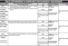 Local Government & Community Development Department Jobs 2025