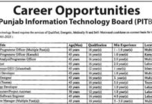 PITB Jobs 2025 Punjab Information Technology Board Online Apply