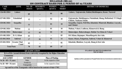 PPSC Zilladar Jobs 2025