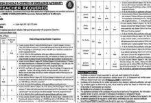 Punjab Daanish School Jobs 2025