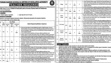 Punjab Daanish School Jobs 2025