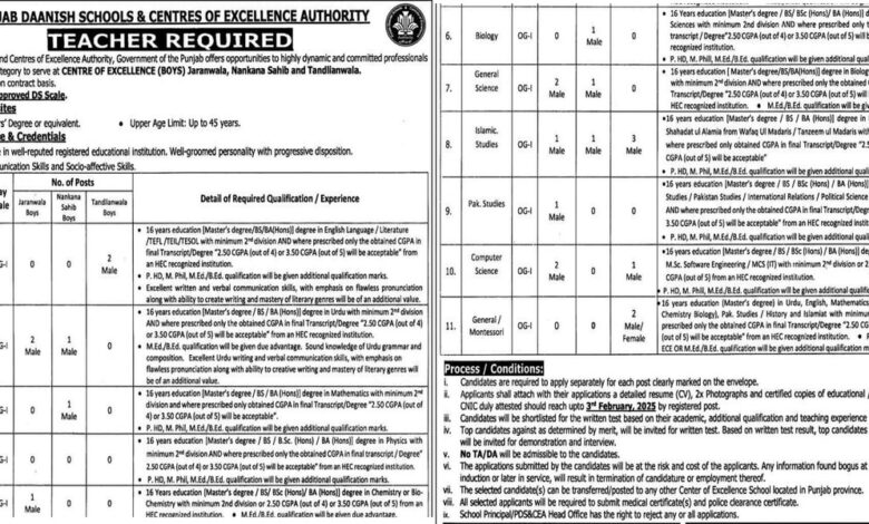 Punjab Daanish School Jobs 2025