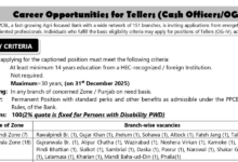 Punjab Provincial Cooperative Bank OG III Jobs 2026 Advertisement