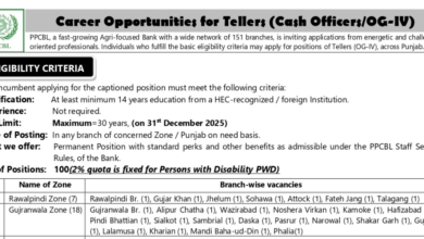 Punjab Provincial Cooperative Bank OG III Jobs 2026 Advertisement