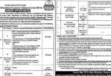 TEVTA Punjab Jobs 2025