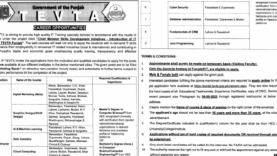 TEVTA Punjab Jobs September 2025