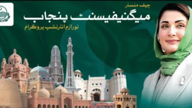 CM Punjab Magnificent Tourism Paid Internship Program 2026