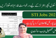 How to Apply for STI Jobs 2025 Advertisement Online Apply