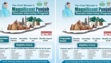 Magnificent Punjab Tourism Internship Program 2025 Online Apply