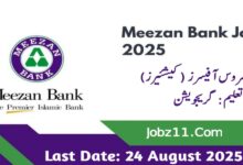 Meezan Bank Cashier Jobs 2025