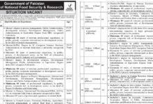 Ministry of National Food Security Jobs 2025 Latest Advertisement