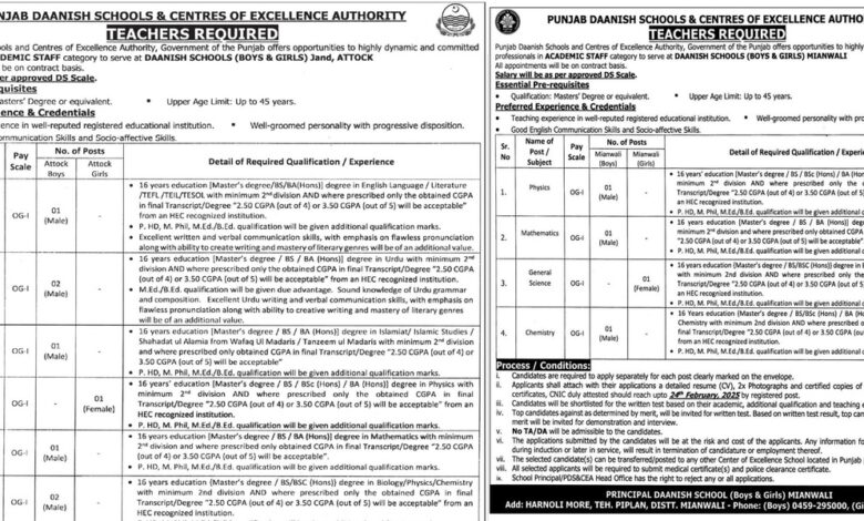 Punjab Daanish Schools Jobs February 2025