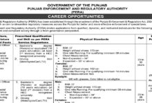 Punjab Enforcement and Regulatory Authority PERA Jobs 2025