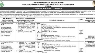 Punjab Enforcement and Regulatory Authority PERA Jobs 2025