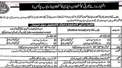 Punjab Police Jobs January 2025