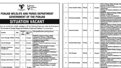 Punjab Wildlife and Parks Department Jobs October 2025