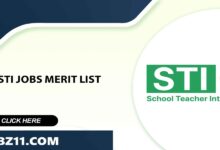 STI Jobs Merit List 2025