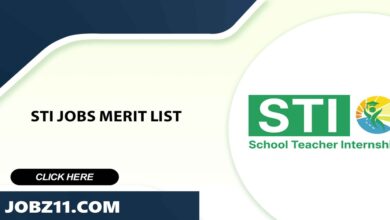 STI Jobs Merit List 2025