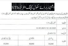 STI Jobs in Punjab 2025