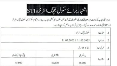 STI Jobs in Punjab 2025