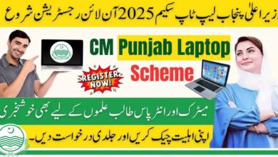 CM Punjab Laptop Scheme 2025