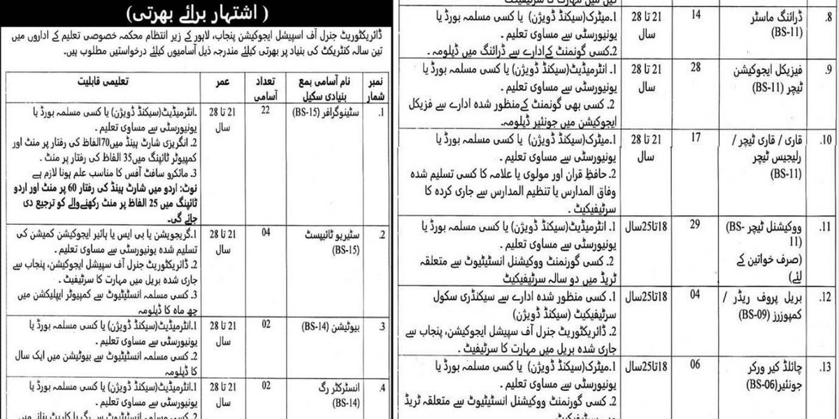 Directorate of Special Education Jobs 2025