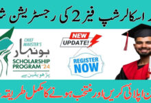 Honhaar Scholarships Program 2025 Eligibility Criteria Online Apply