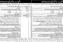 Punjab Workers Welfare Schools STI Jobs 2025 Application Forms