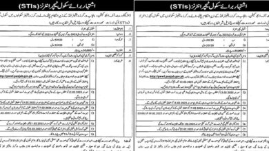 Punjab Workers Welfare Schools STI Jobs 2025 Application Forms