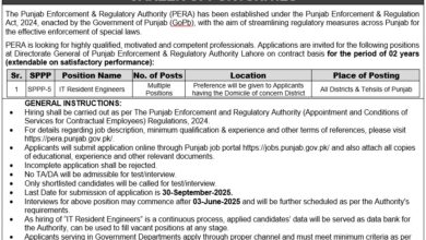 PERA Jobs 2025 IT Resident Engineers